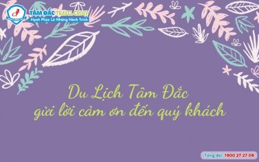 Du Lịch Tâm Đắc cảm ơn các cô